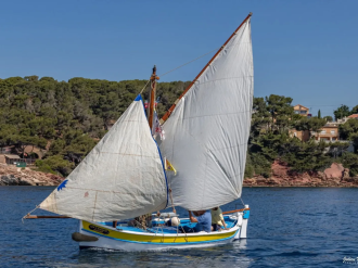 Le 5 et 6 septembre, une armada de pointus met le cap sur l'île de Port-Cros