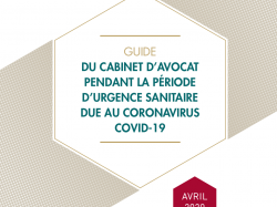 Covid : Le CNB a édité un "Guide de l'avocat confiné" qui compile les conseils pour les avocats en temps de crise