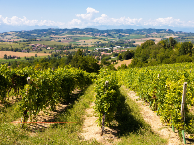 L'essentiel de l'actualit