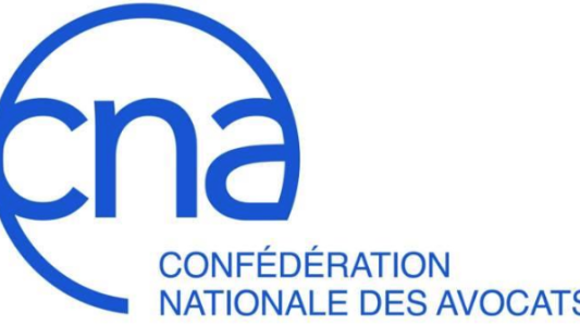 FORMATION Confédération Nationale des Avocats – NICE le 1er juin