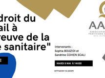 Formation AAPDS : "Le droit du travail à l'épreuve de la crise sanitaire"