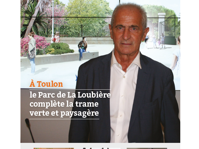 Petites Affiches VAR (…)