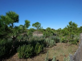 À Six-Fours-les-Plages, une renaissance du Gaou grâce à la Région Sud