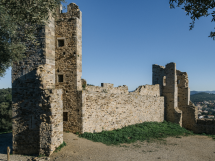 À Ollioules, une expérience savoureuse au cœur du patrimoine