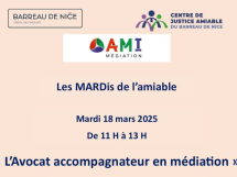 MARDi de l'amiable : « l'avocat accompagnateur en médiation »