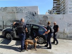 A Toulon, 9 commerces ciblés et 3 étrangers interpellés à Pontcarral