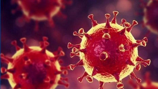 Coronavirus, une plateforme dédiée aux parents à Toulon
