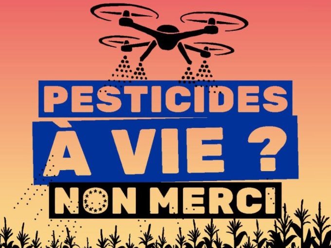 À Marseille, une mobilisa