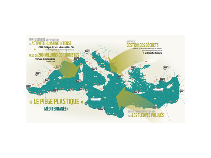 Rapport du WWF : La (…)