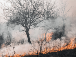 Le transfert du risque climatique au prisme des Cat Bonds : instrument financier adapté à l'émergence des catastrophes naturelles ?