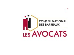 Proclamation des résultats des élections des membres du Conseil national des barreaux le 29 novembre 2017