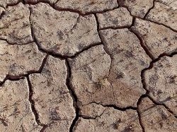 COP 26 : la conférence de la dernière chance ?