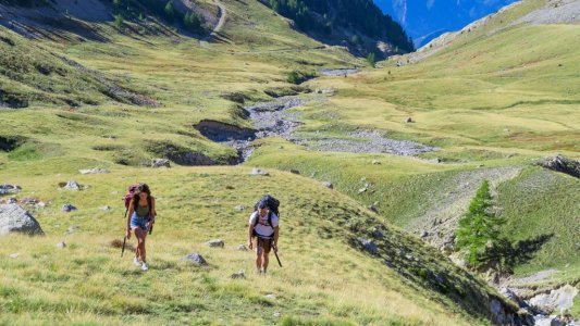 Tourisme durable : un médiateur pastoral sensibilisera les randonneurs tout l'été dans le Mercantour