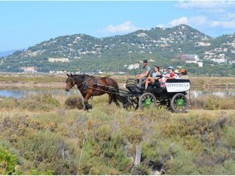 A Hyères, Les Salins, un site remarquable et exceptionnel