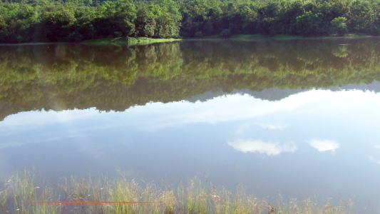 L'Agglomération Cannes Lérins engage la création de deux bassins de rétention d'eau pour limiter le risque d'inondation