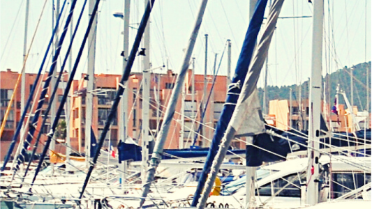 A Bormes-les-Mimosas, “Pigments secrets de la Méditerranée”, une exposition connectée