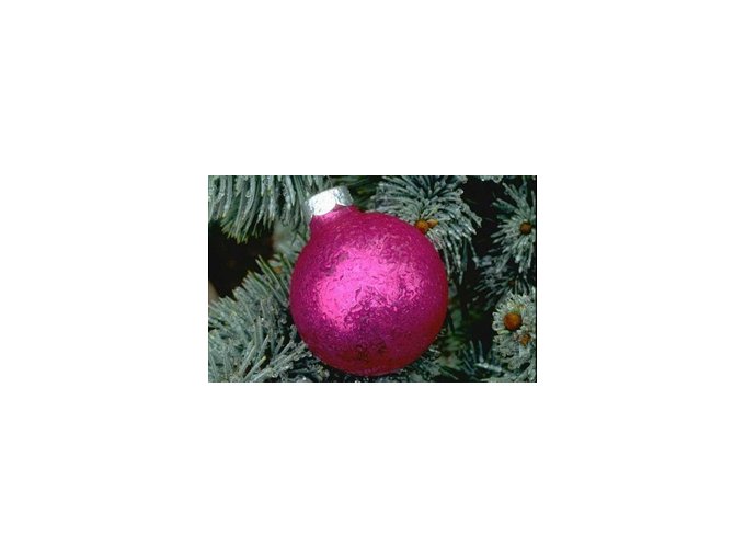 Consensus de Noël