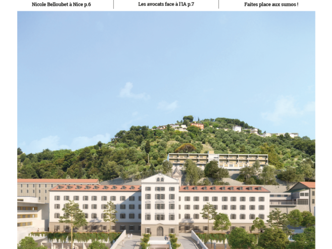 Les Petites Affiches (…)