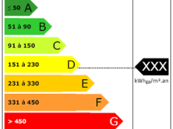 DIAGNOSTIC DE PERFORMANCE ÉNERGÉTIQUE ET ANNONCES IMMOBILIÈRES