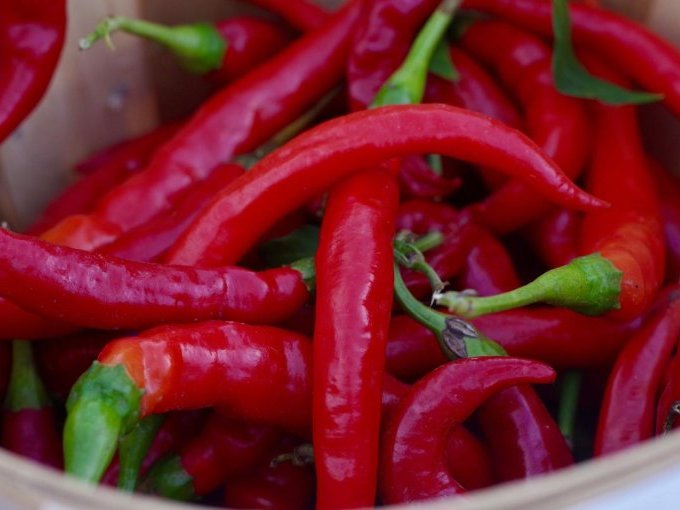 Et si le piment prolongea