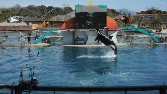 Marineland rouvre lundi