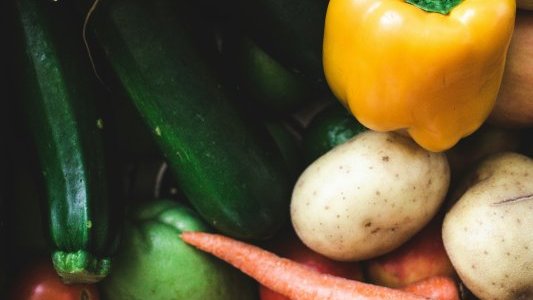 Cannes Lérins : Une plus grande reconnaissance du projet alimentaire territorial 
