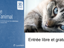 Formation au Droit de l'Animal : Jeudi 11 Avril, à 17h, à Nice