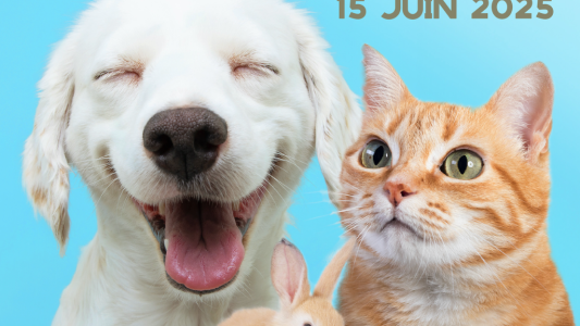 Cannes : une journée dédiée au bien-être animal et au civisme urbain