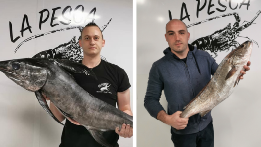 A Saint-André-de-la-Roche "les bars sont ouverts"