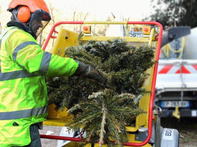 Où déposer son sapin (…)