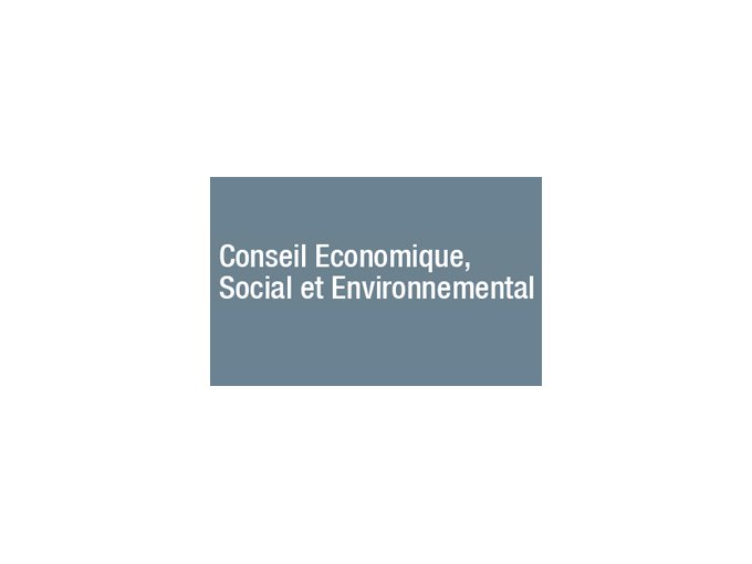 Le Conseil économique (…)