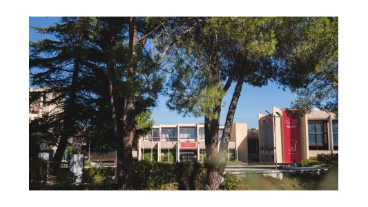 L'accréditation AACSB de SKEMA Business School renouvelée pour 5 ans