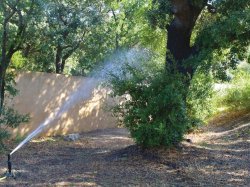 À Marseille, la ressource en eau et le tri sélectif mieux gérés