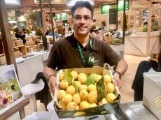 Menton : Prix citron pour l'expert-comptable !