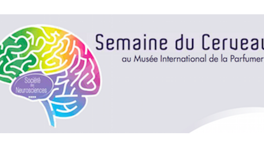 LA SEMAINE DU CERVEAU