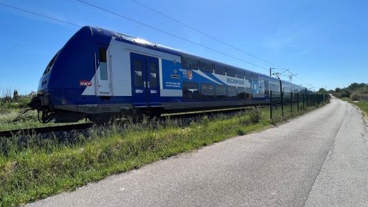 La Région déploie son plan canicule dans les transports, les lycées et les forêts