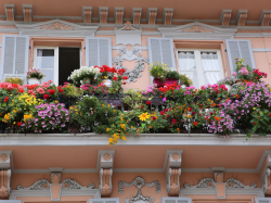  Côte d'Azur Habitat lance la 2e édition du concours "Balcons, terrasses et jardins potagers en fête"