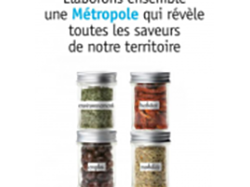Plan Local d'Urbanisme métropolitain : mieux qu'un référendum, le public a la parole !