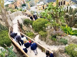 Un balcon sur la Méditerranée retrouve son public : réouverture du Jardin Exotique de Monaco