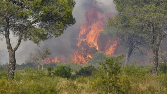  La région Sud asphyxiée par un cocktail de fumées d'incendies