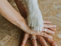Marie-Cécile Lasserre : « Le droit de l'animal n'est pas en avance », mais les lignes bougent