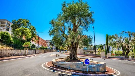 Cannes : l'avenue de Grasse désormais plus verte, plus pratique et plus sûre