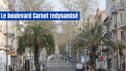 Cannes étend le périmètre de sauvegarde du commerce sur le boulevard Carnot pour renforcer son attractivité
