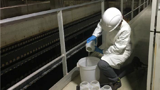 A Toulon face au virus, on anticipe l'apparition de clusters