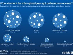 Pollution aux plastiques : avant qu'il ne soit trop tard...