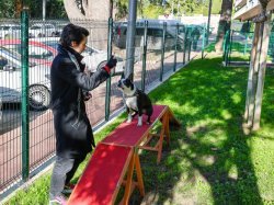 Cannes inaugure son premier Parc canin en centre-ville