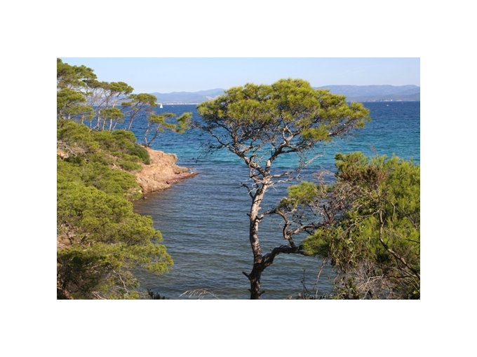 La Région PACA garde (…)