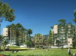 Stade du Ray : le projet dévoilé