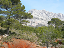 Aires protégées : la France se fixe de nouveaux objectifs pour préserver la biodiversité d'ici à 2030