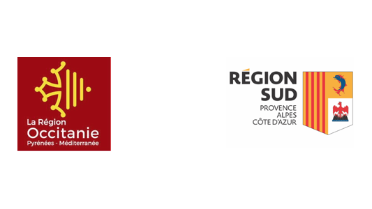 Transformation publique - Les Re ?gions Occitanie et Sud-Paca refusent la rele ?gation de leurs territoires